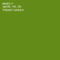 #628C17 - Trendy Green Color Image
